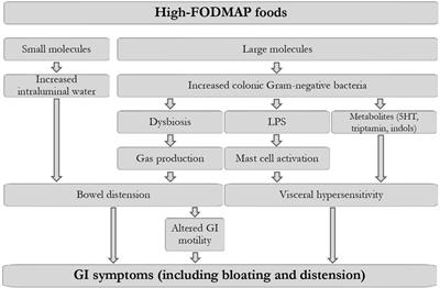 The low-FODMAP diet and the gluten-free diet in the management of functional abdominal bloating and distension